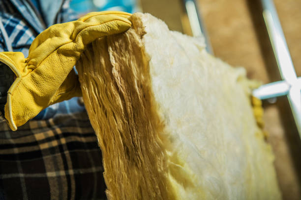 Best Blown-in Insulation in Port St Joe, FL