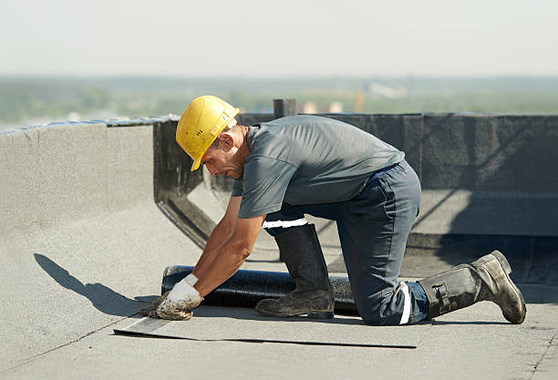 Trusted Port St Joe, FL Insulation Contractor Experts