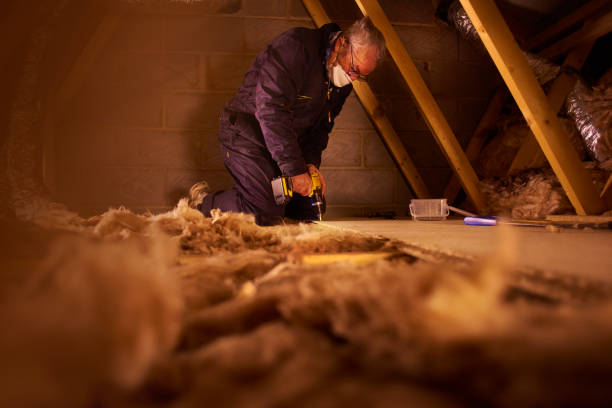 Best Geographic-Specific Insulation Services in Port St Joe, FL