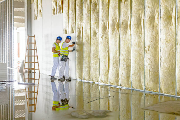 Types of Insulation We Offer in Port St Joe, FL